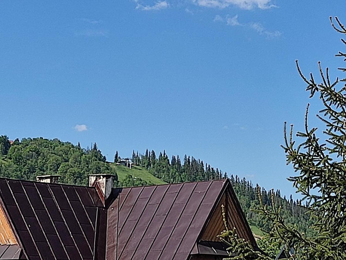 Willa Seba Zakopane Exteriér fotografie